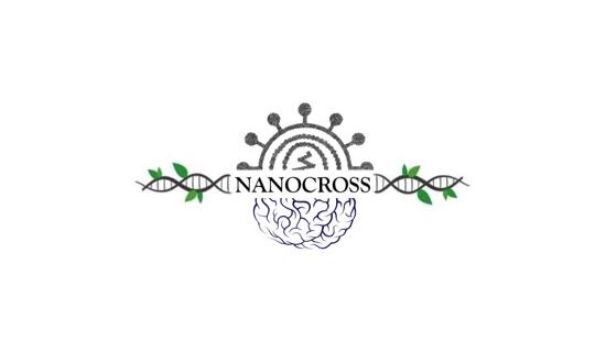 Nanocross