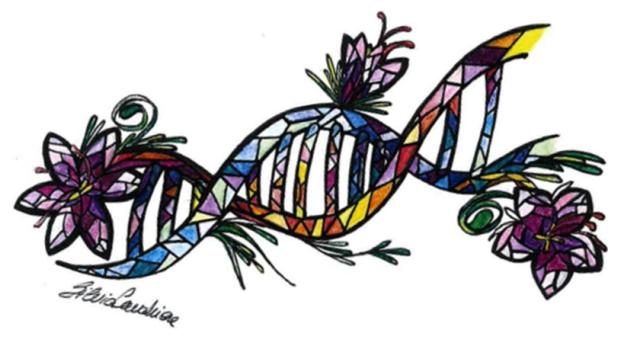 zafferano e DNA