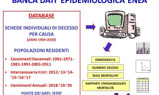 Banca dati epidemiologica ENEA