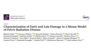 Characterization of Early and Late Damage in a Mouse Model of Pelvic Radiation Disease